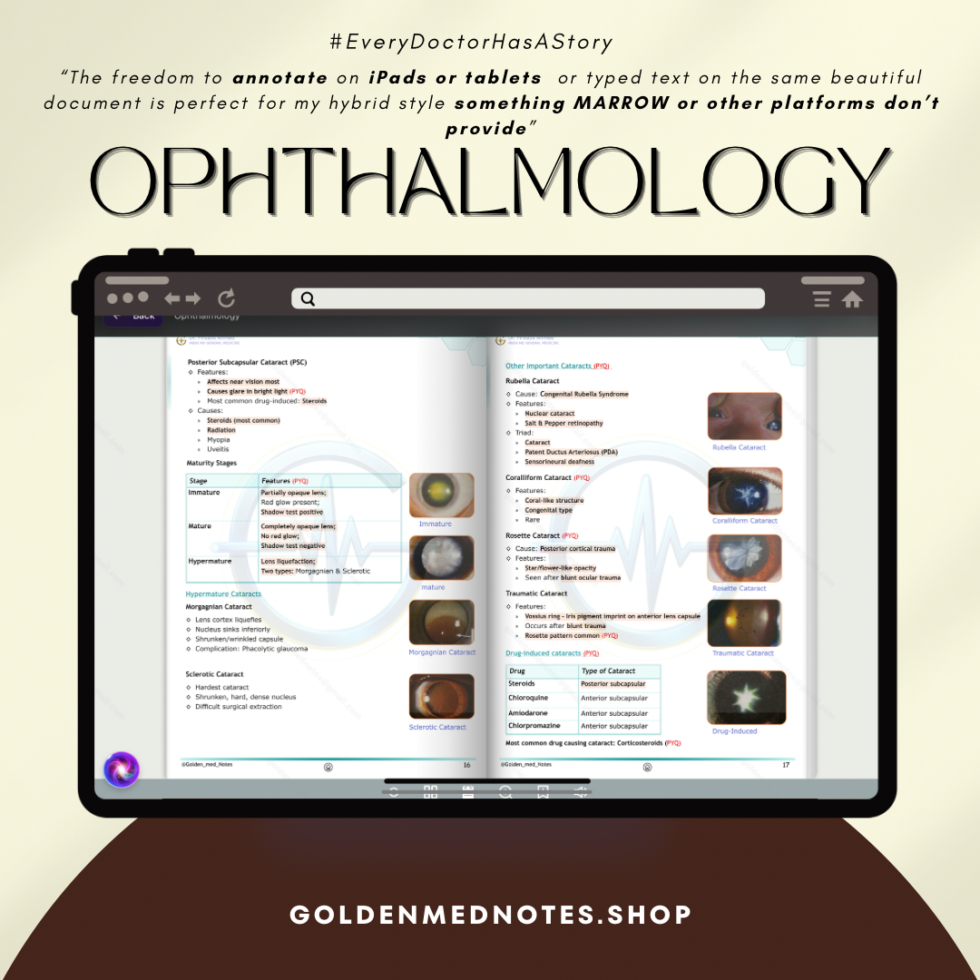 3rd Year MBBS Beginner Concise Exam Ready Notes Bundle