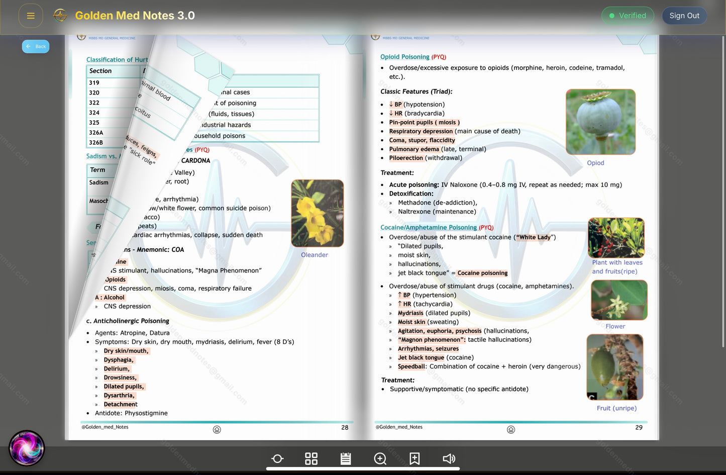 Early Bird Offer Golden Med Notes Edition 3.0 with Golden Med AI 24/7 Tutor Master Plan