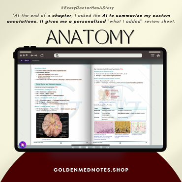 1ST YEAR MBBS BEGINNER CONCISE EXAM READY NOTES