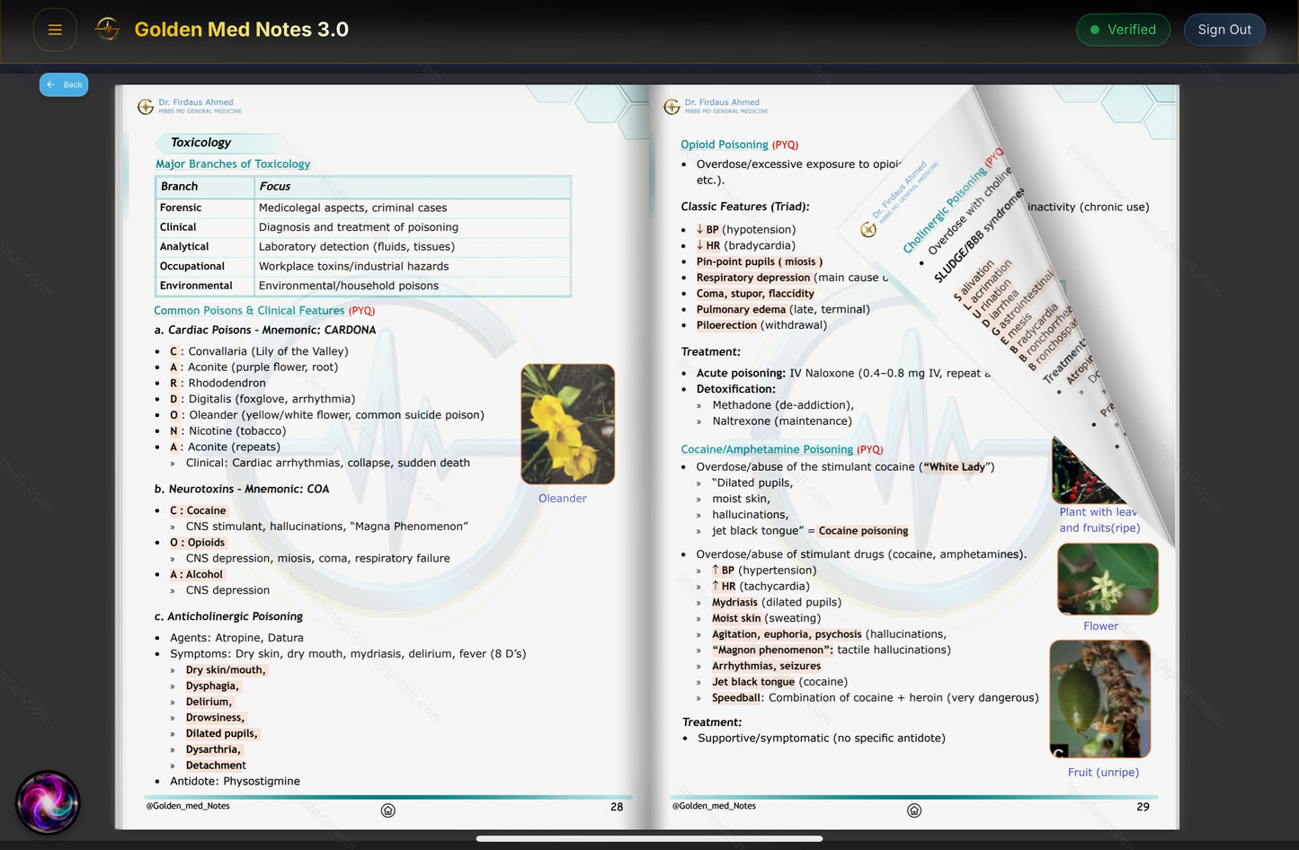 Early Bird Offer Golden Med Notes Edition 3.0 with Golden Med AI 24/7 Tutor Master Plan