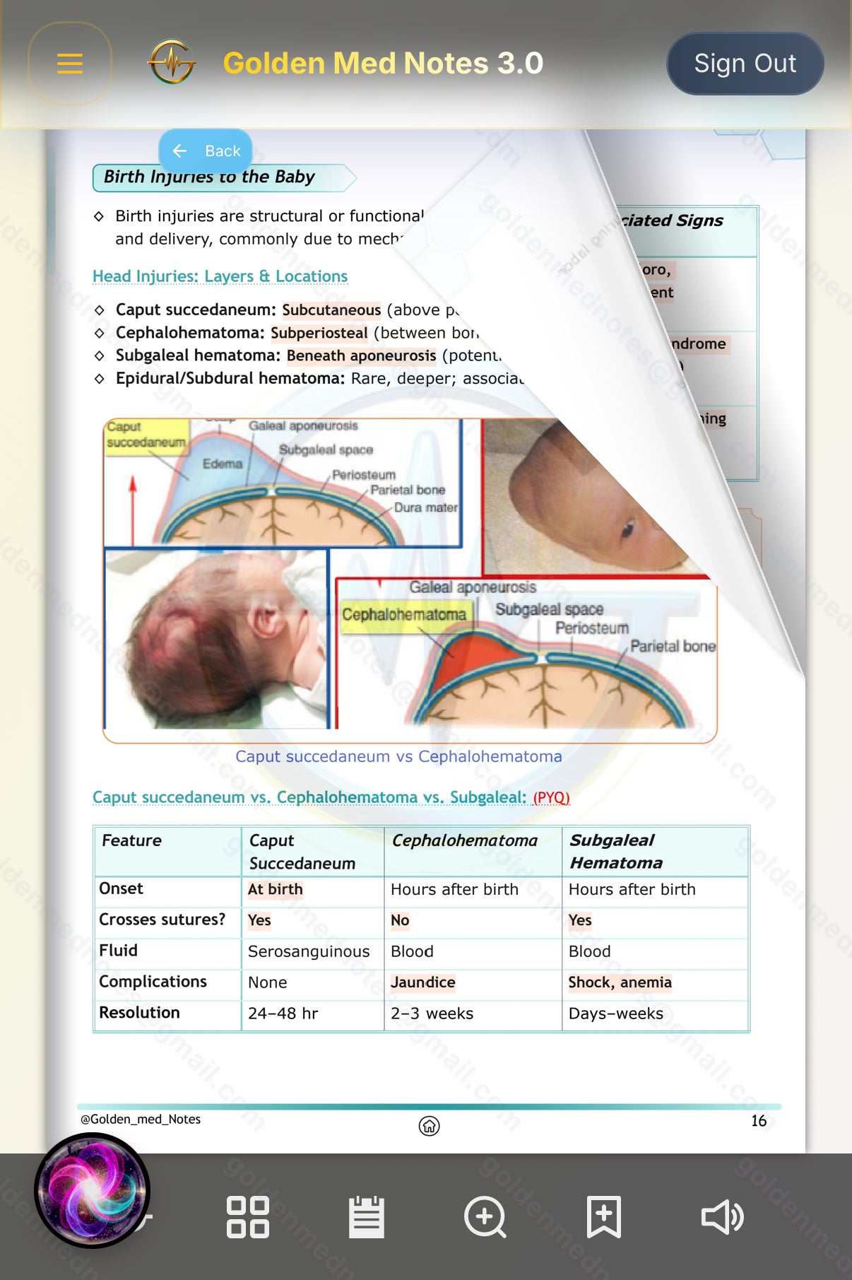 Early Bird Offer Golden Med Notes Edition 3.0 with Golden Med AI 24/7 Tutor Master Plan