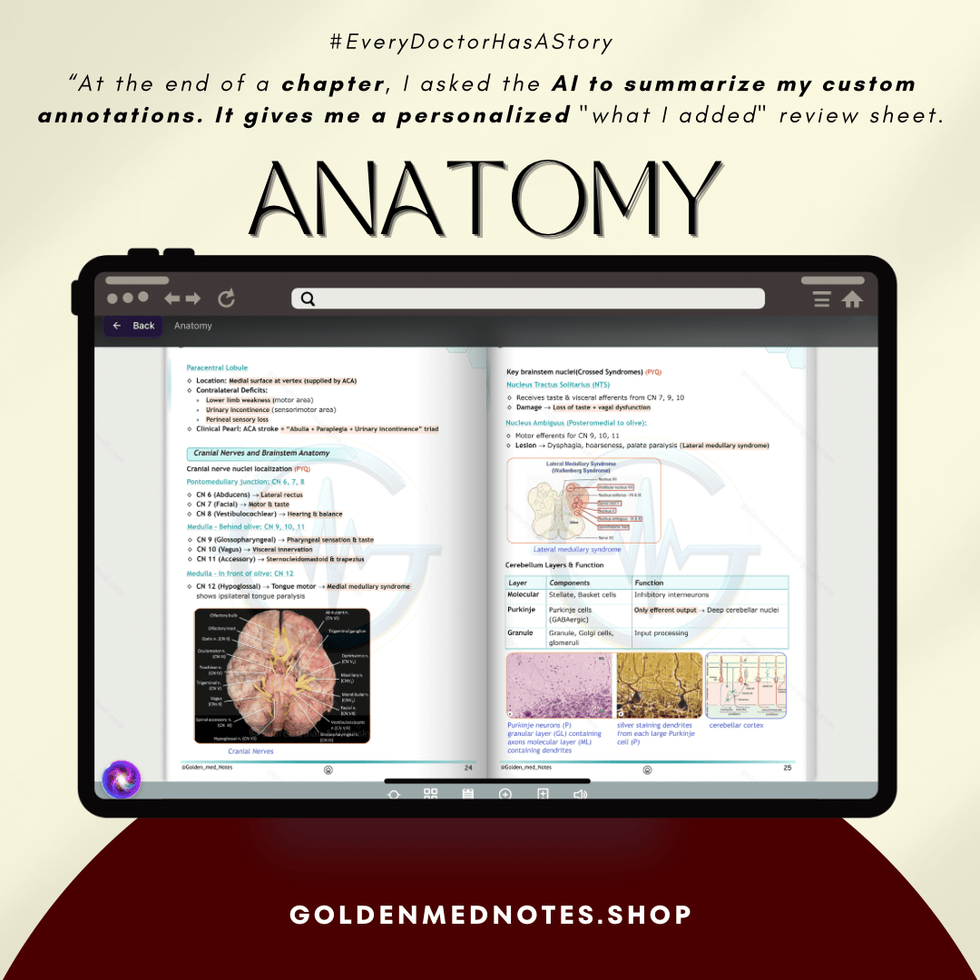 1ST YEAR MBBS BEGINNER CONCISE EXAM READY NOTES - GOLDEN MED NOTES