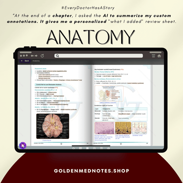 1ST YEAR MBBS BEGINNER CONCISE EXAM READY NOTES - GOLDEN MED NOTES