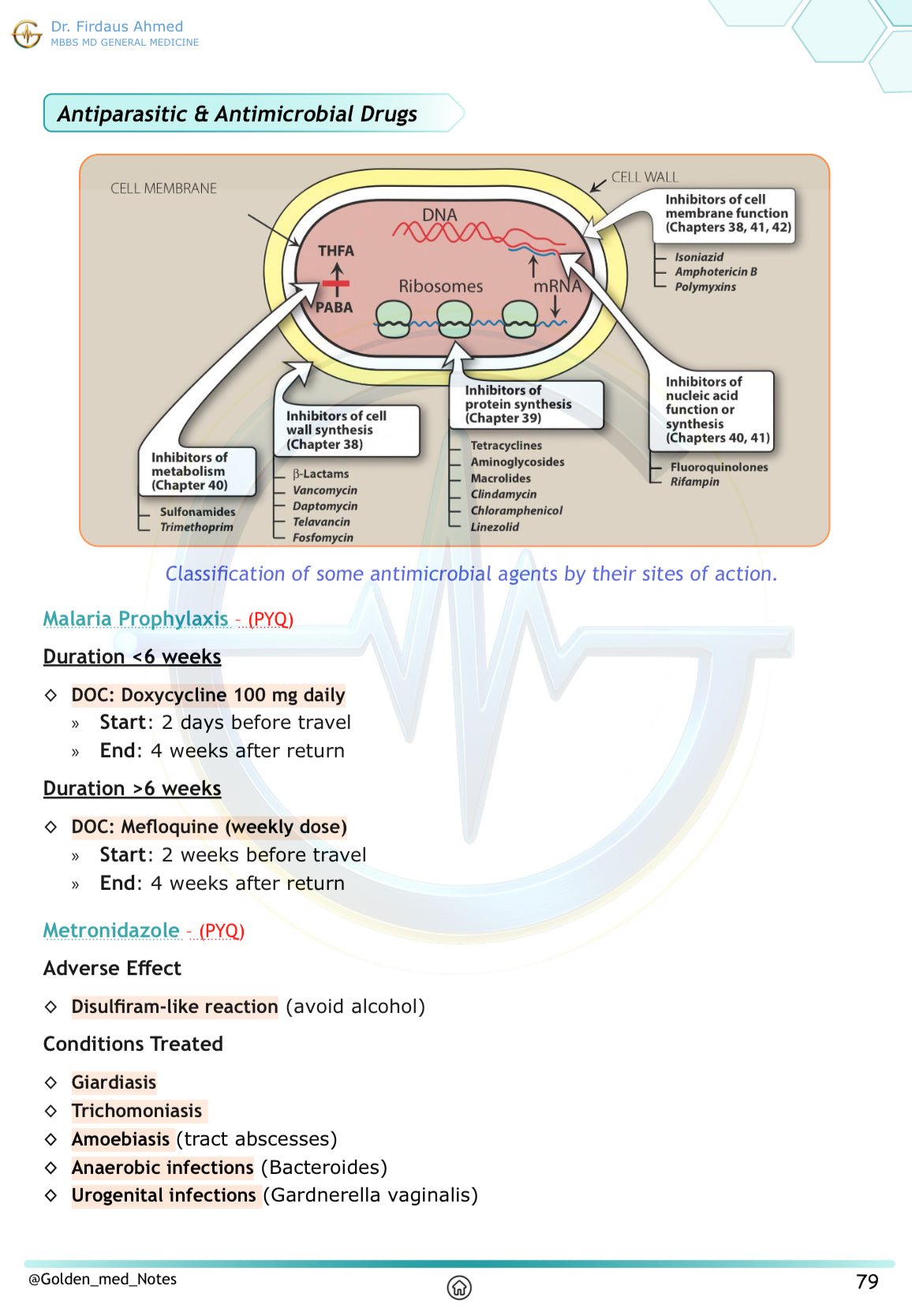 Pharmacology Golden Med Notes Edition 3.0