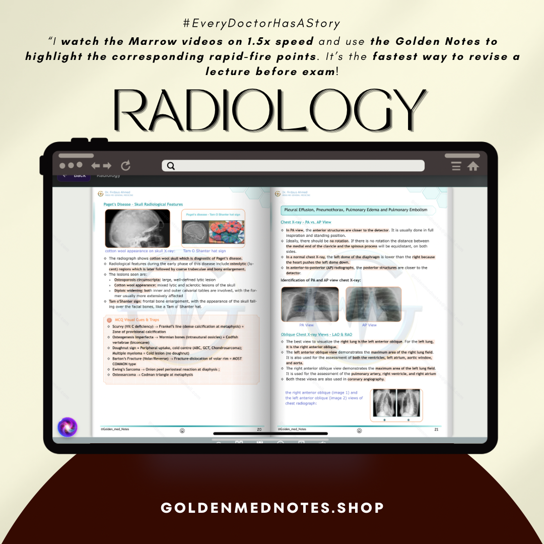 Golden Med AI 24/7 AI Tutor Master Plan
