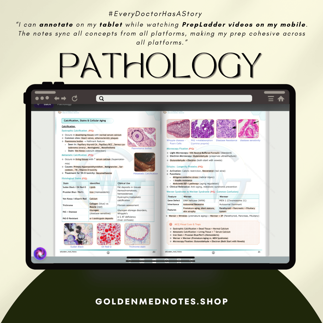 2nd Year MBBS Expert Concise Exam Ready Notes Bundle - GOLDEN MED NOTES