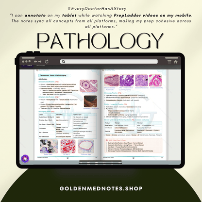 2nd Year MBBS Expert Concise Exam Ready Notes Bundle - GOLDEN MED NOTES