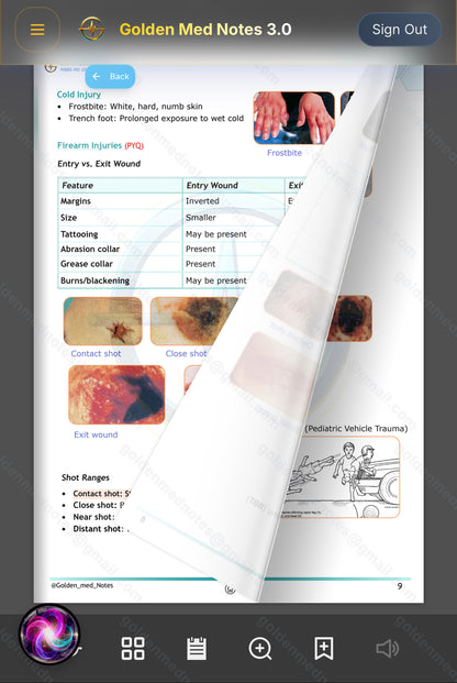 Early Bird Offer Golden Med Notes Edition 3.0 with Golden Med AI 24/7 Tutor Master Plan
