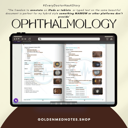 3rd Year MBBS Beginner Concise Exam Ready Notes Bundle - GOLDEN MED NOTES