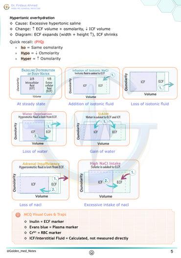 Physiology Golden Med Notes Edition 3.0