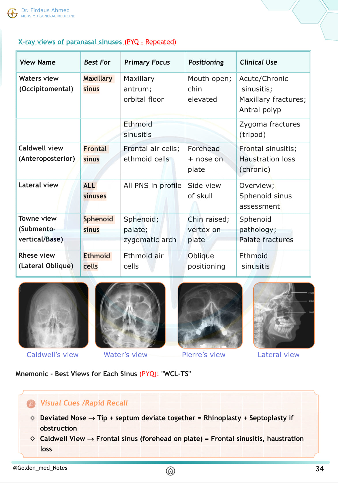 Golden Med AI 24/7 AI Tutor Master Plan
