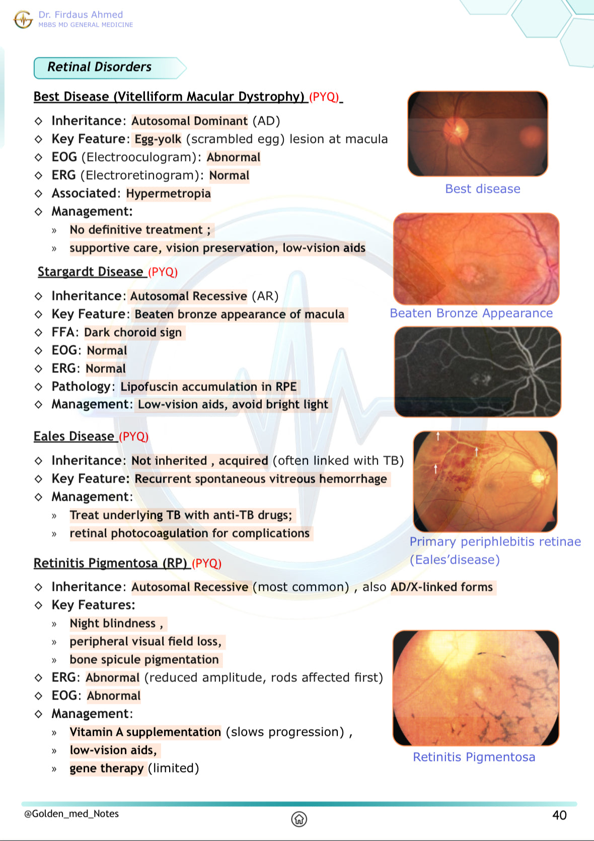 Golden Med AI 24/7 AI Tutor Master Plan