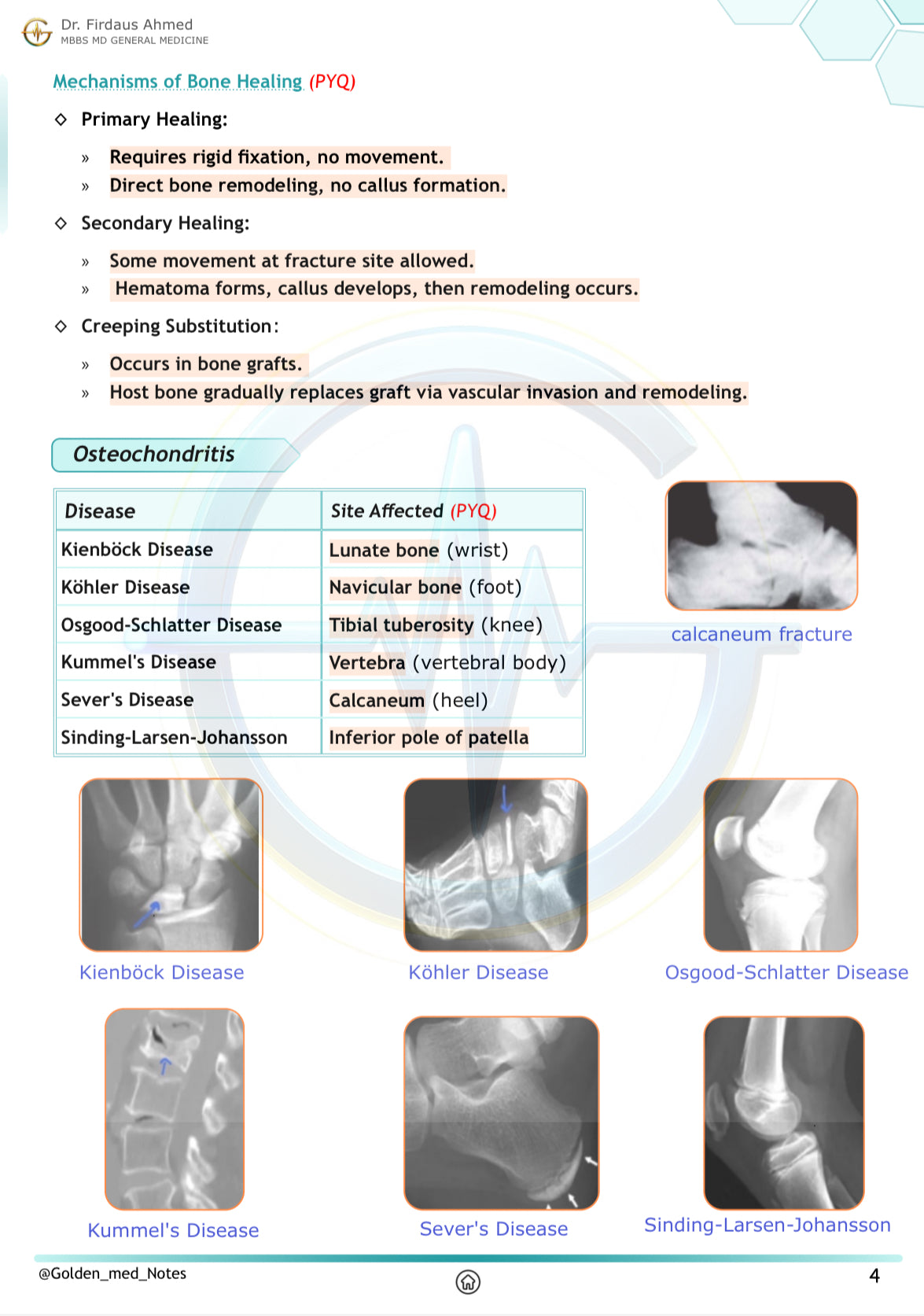 Golden Med AI 24/7 AI Tutor Master Plan