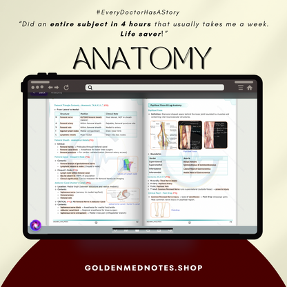 Golden Med AI Master Plan 3.0 (19 subjects + Golden Med AI for 1 year)