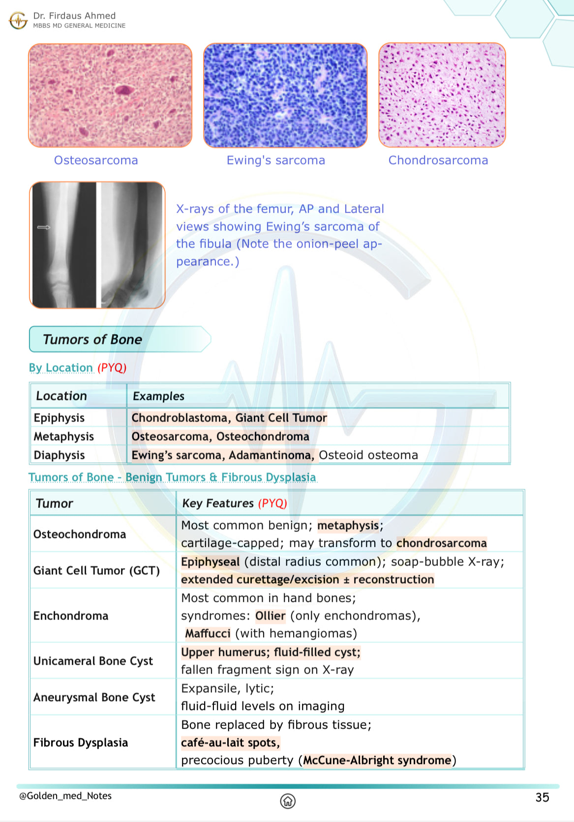 Golden Med AI 24/7 AI Tutor Master Plan