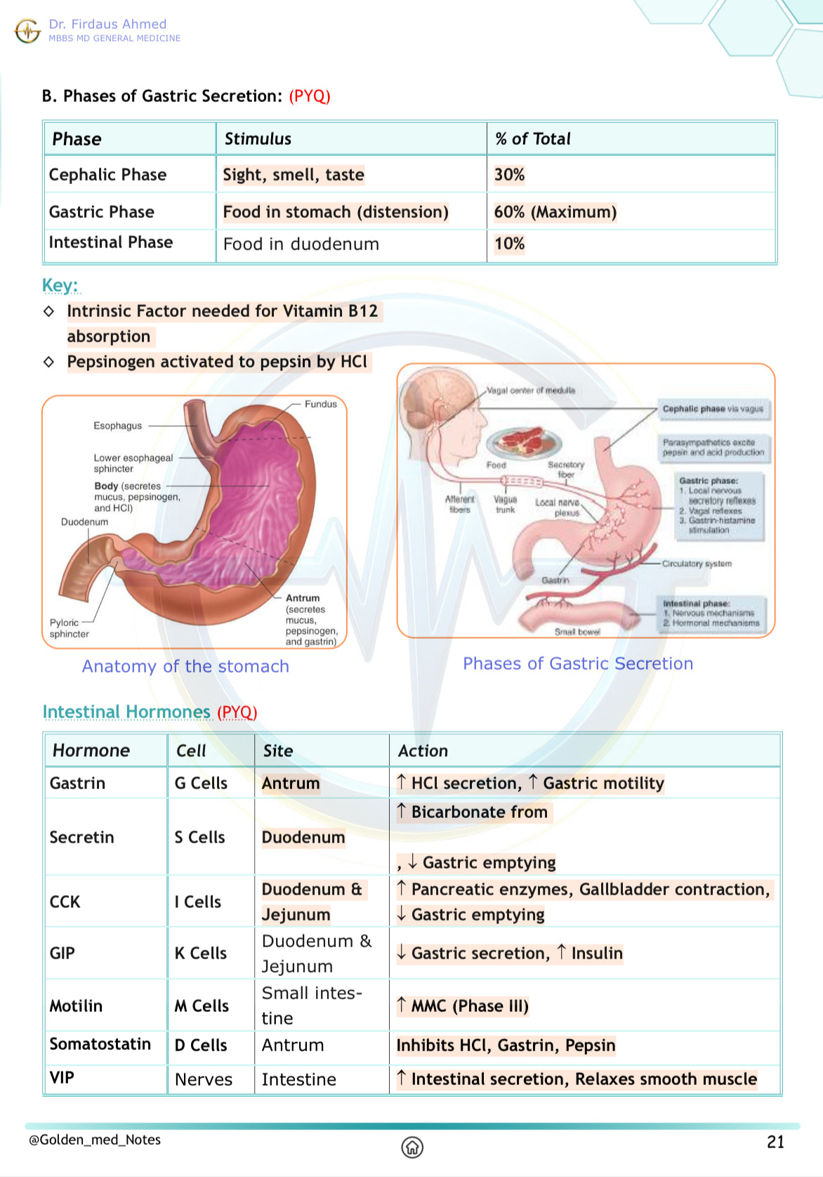 Golden Med AI 24/7 AI Tutor Master Plan