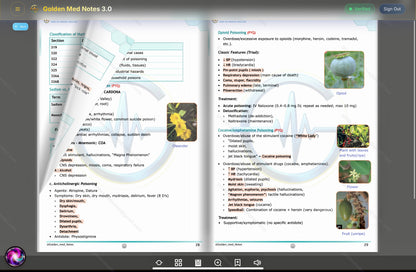 Early Bird Offer Golden Med Notes Edition 3.0 with Golden Med AI 24/7 Tutor Master Plan