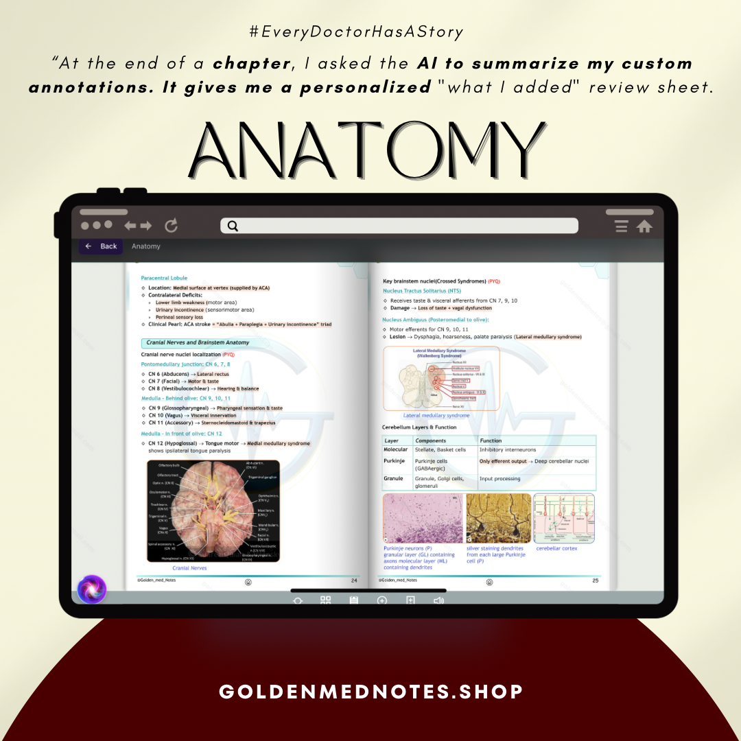 Golden Med AI 24/7 AI Tutor Master Plan