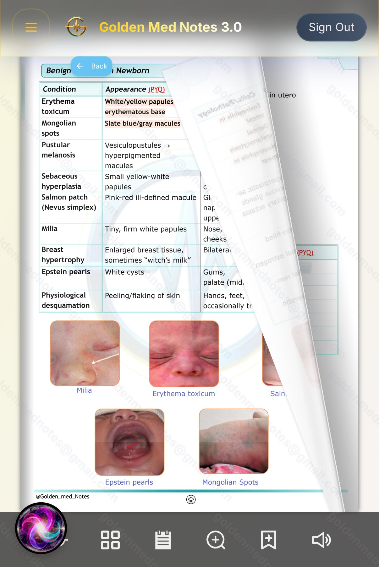Early Bird Offer Golden Med Notes Edition 3.0 with Golden Med AI 24/7 Tutor Master Plan
