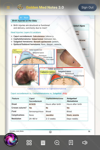 Early Bird Offer Golden Med Notes Edition 3.0 with Golden Med AI 24/7 Tutor Master Plan