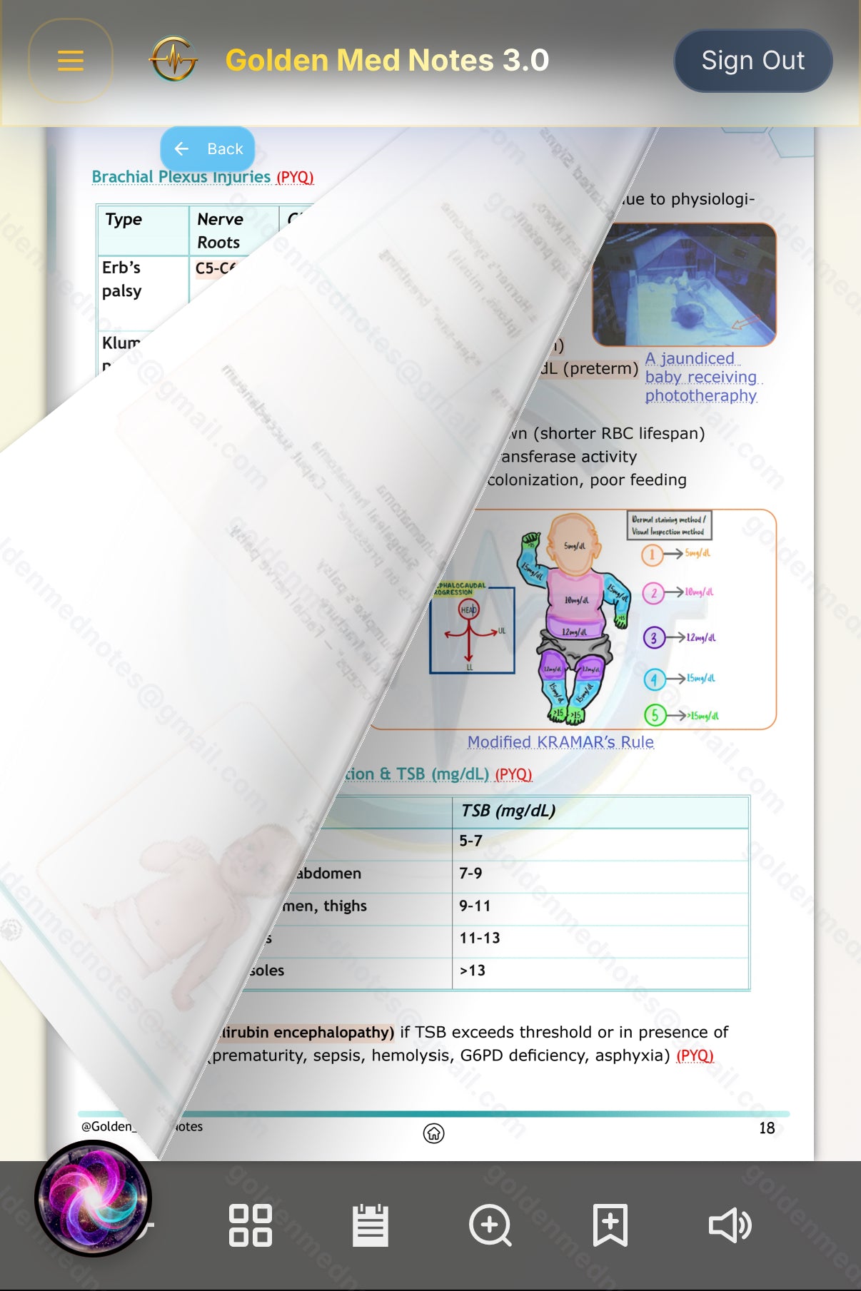 Early Bird Offer Golden Med Notes Edition 3.0 with Golden Med AI 24/7 Tutor Master Plan
