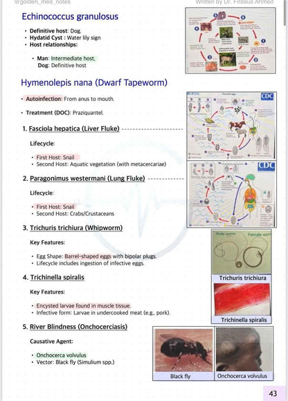 DECODING NEET PG EDITION 3.0 + Golden Med AI (Premium access) - GOLDEN MED NOTES