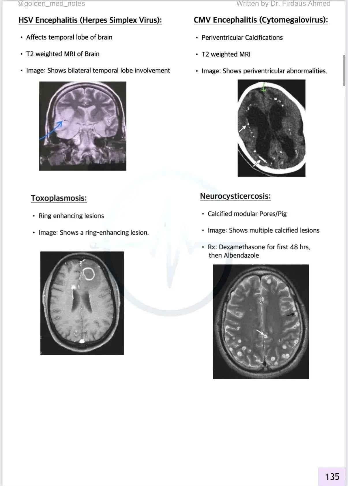 DECODING NEET PG EDITION 3.0 + Golden Med AI (Premium access) - GOLDEN MED NOTES