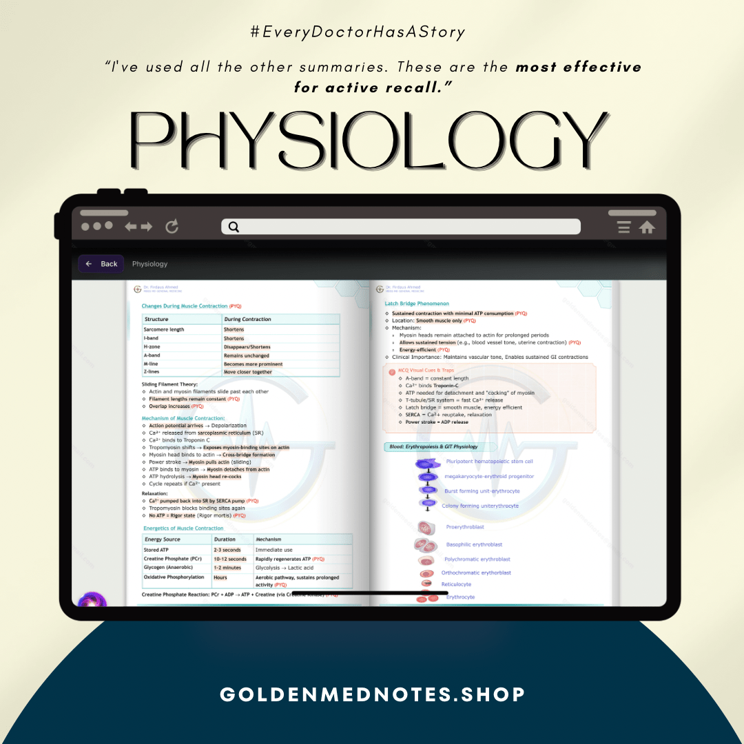 Golden Med AI Master Plan 3.0 (19 subjects + Golden Med AI for 1 year) - GOLDEN MED NOTES