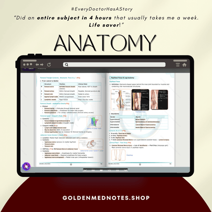 Golden Med AI Master Plan 3.0 (19 subjects + Golden Med AI for 1 year) - GOLDEN MED NOTES